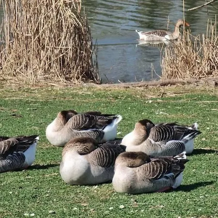 Glamour Equipe Avec Balneo Et Sauna *