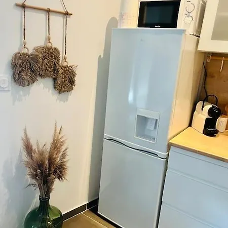 Apartament Glamour Equipe Avec Balneo Et Sauna Nancy