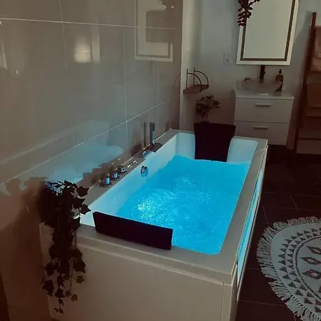 Glamour Equipe Avec Balneo Et Sauna * Nancy