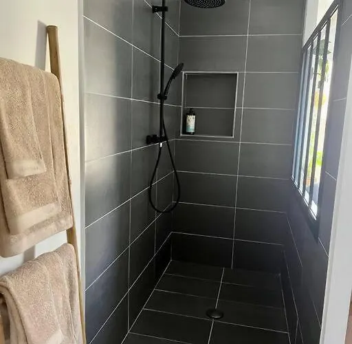 Lejlighed Glamour Equipe Avec Balneo Et Sauna Nancy