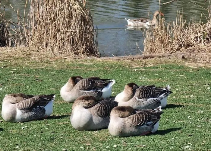 Glamour Equipe Avec Balneo Et Sauna *