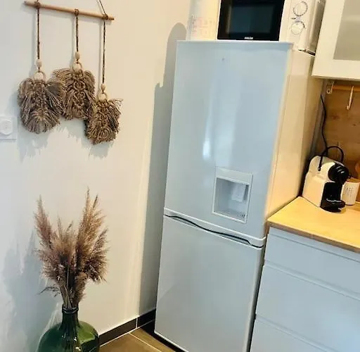 Διαμέρισμα Glamour Equipe Avec Balneo Et Sauna Νανσύ