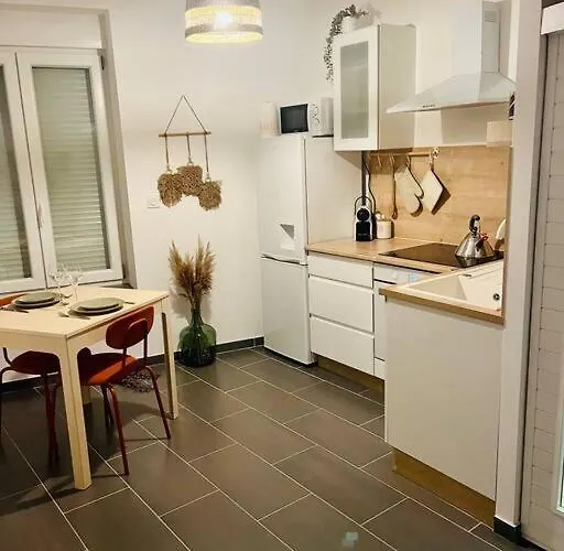 Lejlighed Glamour Equipe Avec Balneo Et Sauna Nancy